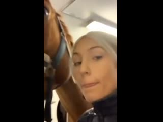 selfie with a horse