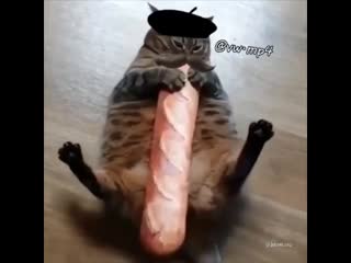 baguette