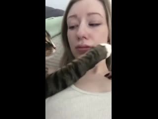 affectionate cat