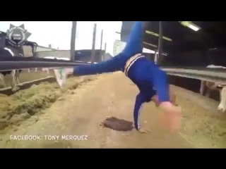 breakdancer