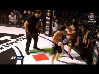 fight of the son of ramzan kadyrov. mma adam kadyrov