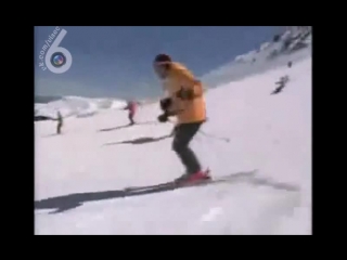 ostrich skier